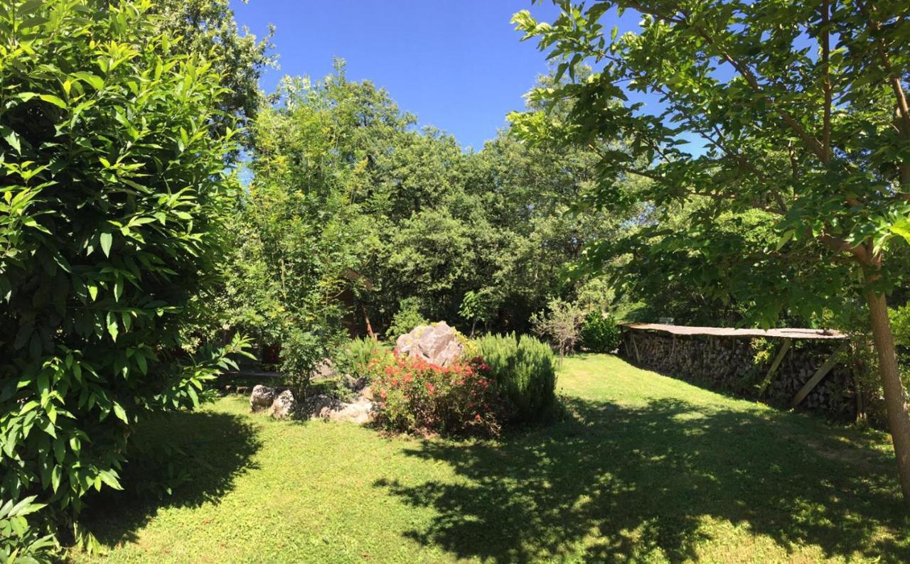 Ecolodge Les Sentiers Du Lac - Domaine De La Gaia Sorèze Buitenkant foto